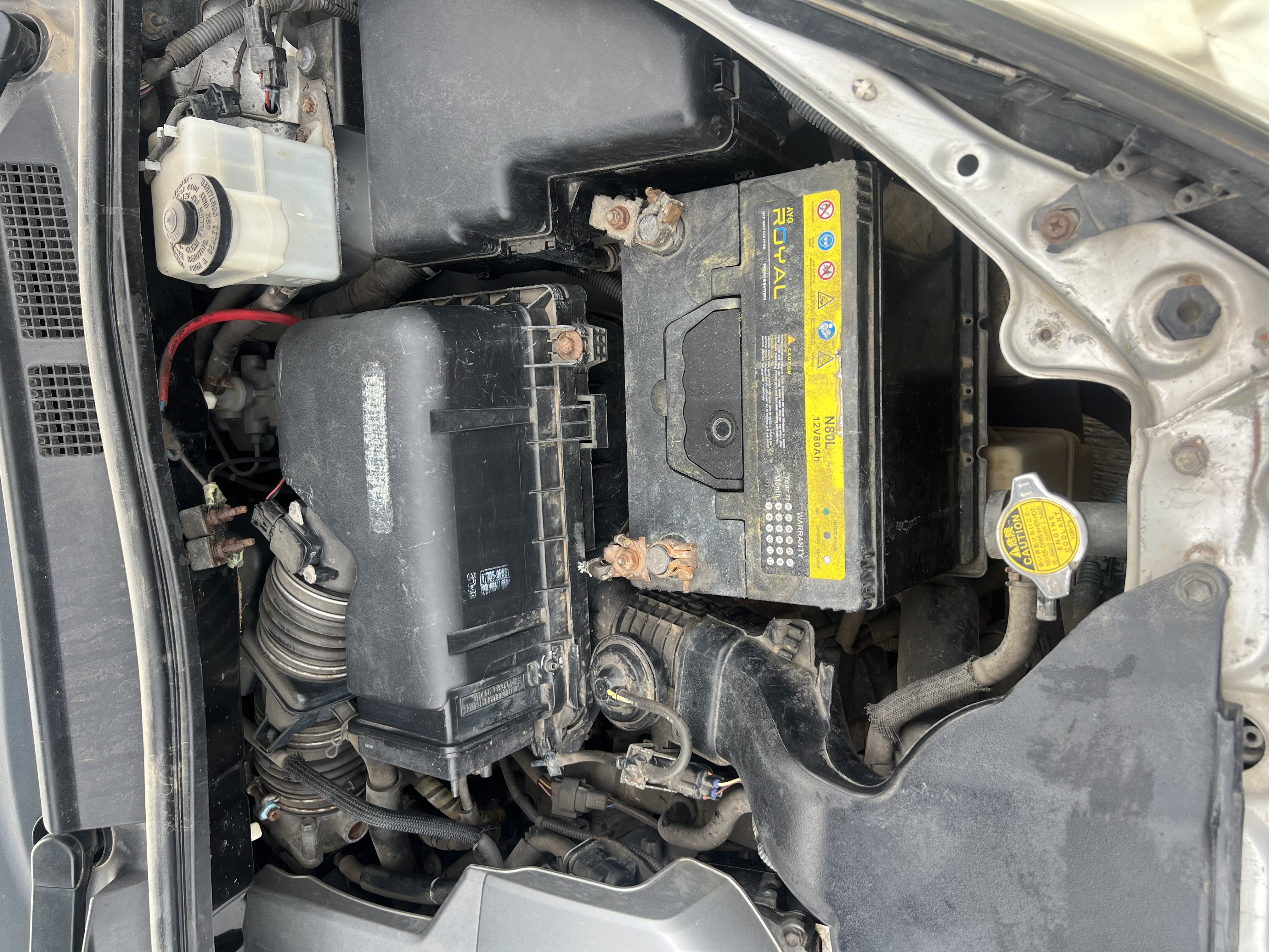 2008 Toyota Sienna Xle photo 8