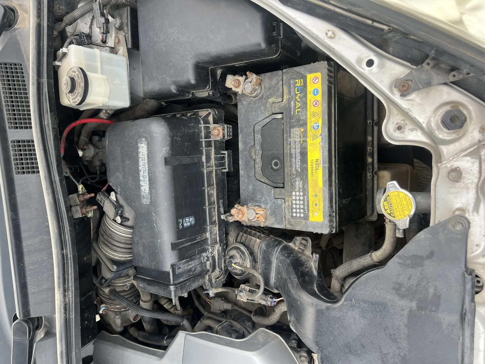 2008 Toyota Sienna Xle photo 8