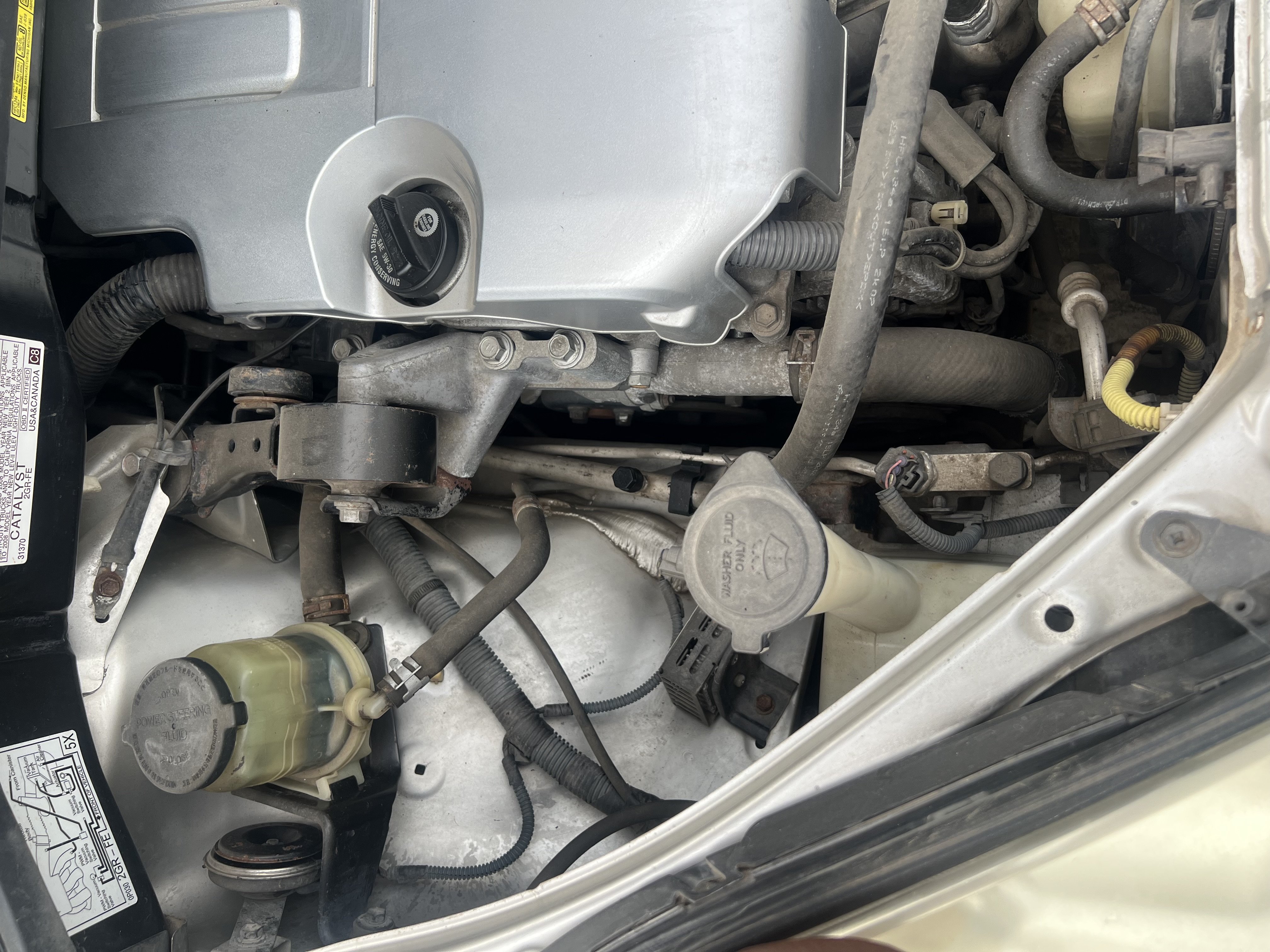 2008 Toyota Sienna Xle photo 9